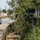 Condutor é multado por radar oculto sem placa indicativa de velocidade máxima na rodovia e Justiça anula a infração por quebra de regra
