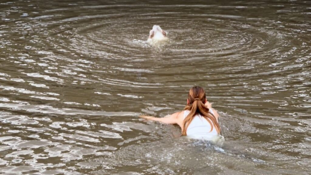 Cabeleireira tira os sapatos e pula em canal ao ver cachorro se afogando, protagonizando um resgate emocionante que surpreendeu a todos