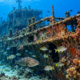 Em 1972, navios antigos foram afundados no litoral dos Estados Unidos para criar recifes artificiais e, anos depois, mergulhadores encontraram peixes e corais ocupando partes das embarcações