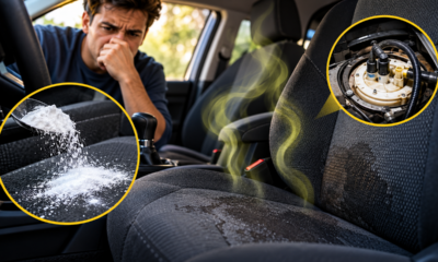 O truque que pode ajudar a eliminar o cheiro de gasolina dentro do carro e deixar o interior mais seguro, agradável e sem aquele odor forte que aparece quando existe vazamento ou falha no sistema de combustível