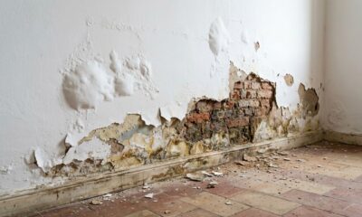 Homem compra uma casa antiga para reformar, pedreiro encontra um problema escondido atrás da parede e ele descobre por que uma pintura nova pode disfarçar prejuízos de milhares de reais