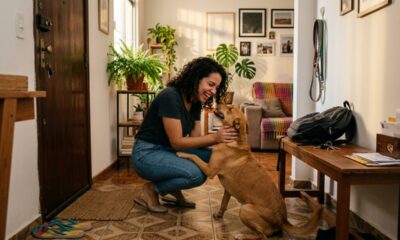 Segundo a psicologia, quem chama o cachorro ou gato de “filho” pode não estar exagerando no carinho, mas expressando um vínculo marcado por cuidado, rotina, proteção e forte apego emocional