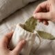 Colocar uma folha de louro dentro do travesseiro antes de dormir: para que serve esse costume antigo e por que recomendam
