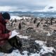 Organização recruta pessoas para passar 5 meses contando pinguins na Antártida, com salário de até R$ 13,6 mil mensais, alimentação e hospedagem incluídas