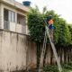 Vizinho planta fileira de árvores altas para tapar a vista do apartamento ao lado por disputa de vaga, perde ação por abuso de direito e é obrigado a podar