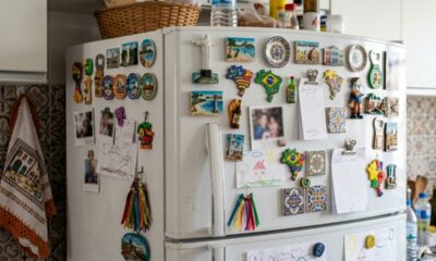 Especialistas em psicologia concordam: “Quem enche a geladeira de ímãs pode não estar apenas decorando a cozinha, mas preservando lembranças que ajudam a construir a própria identidade”