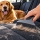 Como tirar pelos de cachorro dos bancos do carro sem passar horas esfregando o tecido e quais ferramentas ajudam a remover até aqueles fios que ficam presos nas fibras