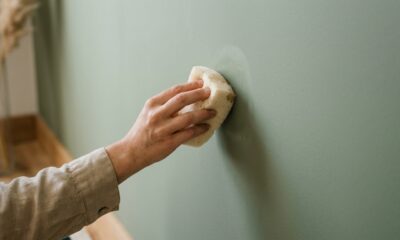 Pintor revela o truque caseiro com esponja macia para tirar manchas brilhantes e marcas de rolo na parede da sala sem precisar pintar de novo