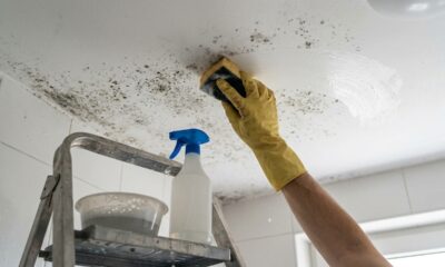 Pintor ensina o truque caseiro para tirar o mofo do teto do banheiro e revela o produto de R$ 10 que impede o lodo de voltar na umidade