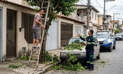 Morador cortou a árvore da calçada porque os galhos sujavam o carro e descobriu que poda ou retirada em área pública sem aval do município pode gerar penalidades
