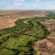 África está construindo uma muralha de árvores de 8.000 km para frear a desertificação, recuperar 100 milhões de hectares e criar milhões de empregos