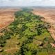 Muralha verde de 8 mil quilômetros está sendo construída para atravessar a África, conter o avanço do deserto e ainda gerar alimento, renda e novas oportunidades para milhões de pessoas
