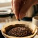 Colocar uma pitada de sal no pó do café antes de passar: para que serve e por que baristas recomendam esse truque