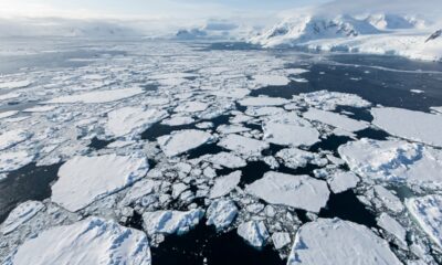 Cientistas observam mudança no gelo da Antártida e descobrem que, mesmo durante o período mais frio do ano, a cobertura marinha registrou o terceiro menor crescimento máximo desde 1979