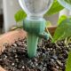 Sem pedir favores a vizinhos, nem perder suas plantas: o item de R$ 25 reais que mantém os vasos regados por dias nas viagens