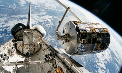 Em 1984, 12,5 milhões de sementes de tomate foram lançadas ao espaço pela NASA e, após quase 6 anos longe da Terra, participaram de um experimento científico realizado em milhares de escolas