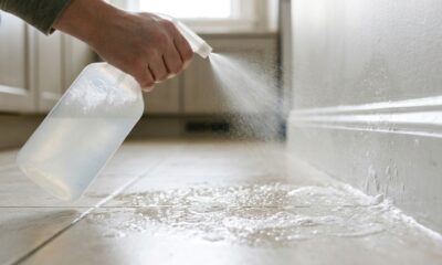 O spray simples de dois ingredientes que você tem na pia e imobiliza baratas na hora sem precisar usar venenos tóxicos