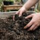 A proporção exata de três ingredientes simples que cria o substrato perfeito e aerado para plantas de interior nunca mais morrerem