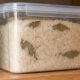 Colocar folha de louro dentro do pote de arroz: para que serve e por que as avós faziam isso
