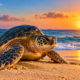 Milhares de tartarugas marinhas chegam às praias durante uma jornada impressionante que atravessa oceanos e revela como esses animais conseguem retornar ao local de nascimento depois de décadas