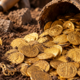 Um tesouro com centenas de moedas de ouro permaneceu escondido por quase 1.000 anos até ser encontrado perto de um antigo castelo que pode revelar a riqueza acumulada durante a Idade Média