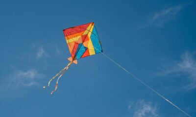 Provérbio chinês do dia: “Quanto mais longa a corda, mais alto voará a pipa.” Uma reflexão sobre por que dar espaço pode ajudar alguém a descobrir até onde consegue chegar