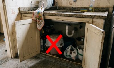 Adeus à lixeira embaixo da pia: especialistas em interior apontam um lugar mais prático para facilitar a rotina e deixar a cozinha mais funcional