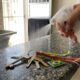 Borrifar vinagre nas chaves de casa uma vez por mês: para que serve esse truque e por que danos de casa recomendam