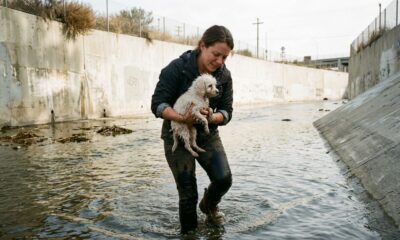 Cabeleireira tira os sapatos e pula em canal ao ver cachorro se afogando, protagonizando um resgate emocionante que surpreendeu a todos