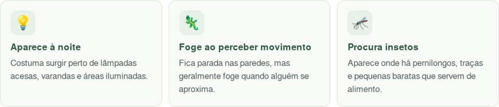 Muita gente espanta a lagartixa quando ela aparece dentro de casa, mas poucos sabem por que esse pequeno animal pode ser um aliado contra insetos