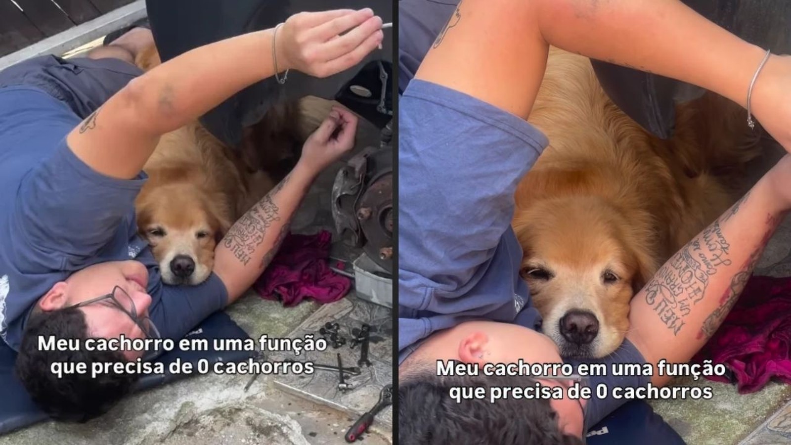 Homem e golden retriever no braço. Texto: 'Meu cachorro em uma função que precisa de 0 cachorros'