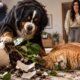 Cão e gato perto de vaso de planta quebrado com terra espalhada, mulher surpresa
