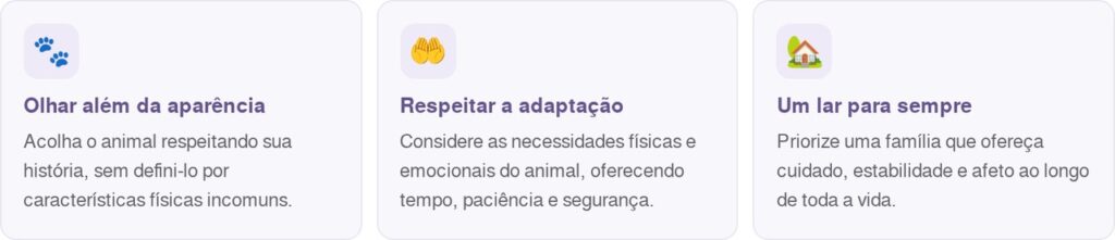 Homem vê foto de um beagle de 33 quilos e acredita que foi criada por inteligência artificial, até conhecer o cachorro pessoalmente e descobrir que ele era real