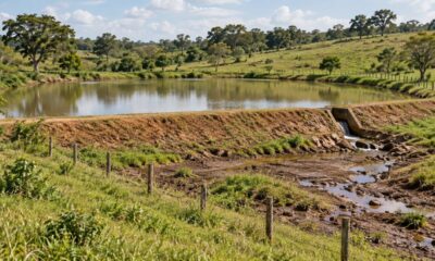 Construir um açude na própria terra é permitido, mas o uso da água deve respeitar os direitos dos vizinhos