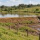Construir um açude na própria terra é permitido, mas o uso da água deve respeitar os direitos dos vizinhos