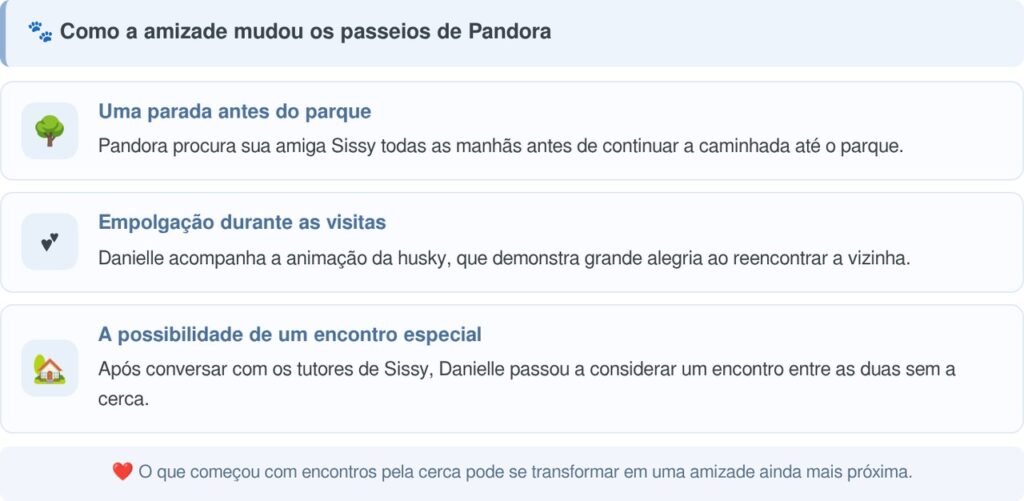 Husky cria o hábito de estender a pata pela cerca para cumprimentar seu vizinho todas as manhãs, e o gesto carinhoso transforma uma rotina simples em uma amizade emocionante