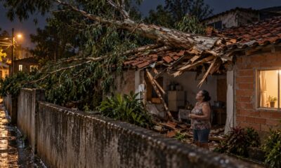 Árvore que já estava condenada e cai sobre o telhado do vizinho pode gerar dever de indenizar, e a Justiça fixou R$ 28 mil no caso