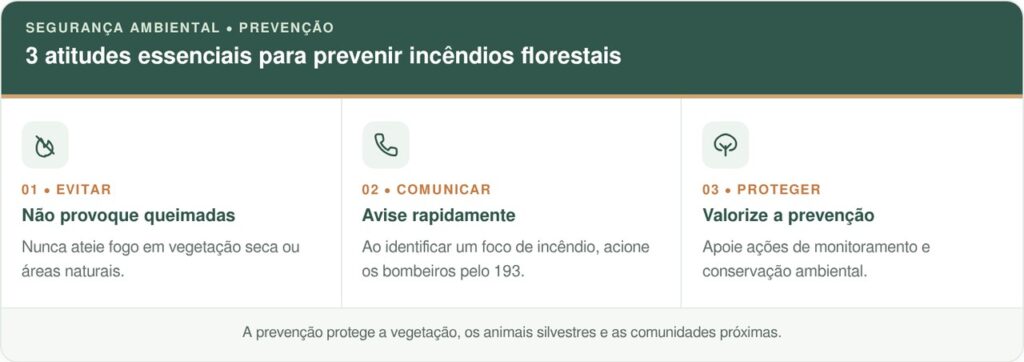 Em meio às chamas de um incêndio florestal, bombeiros interrompem o combate ao fogo ao encontrar um pequeno sobrevivente lutando pela vida