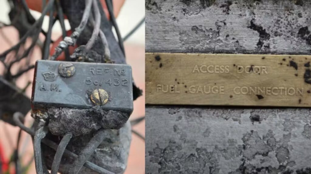 Homem entra em uma floresta para colher frutas e acaba encontrando destroços de um avião desaparecido desde a Segunda Guerra Mundial
