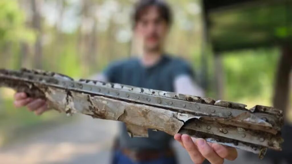 Homem entra em uma floresta para colher frutas e acaba encontrando destroços de um avião desaparecido desde a Segunda Guerra Mundial