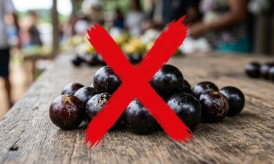 Frutas escuras e redondas em mesa de madeira rústica com um grande 'X' vermelho sobre elas