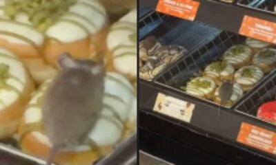 Um mouse cinza em cima de um donut branco em uma vitrine de confeitaria