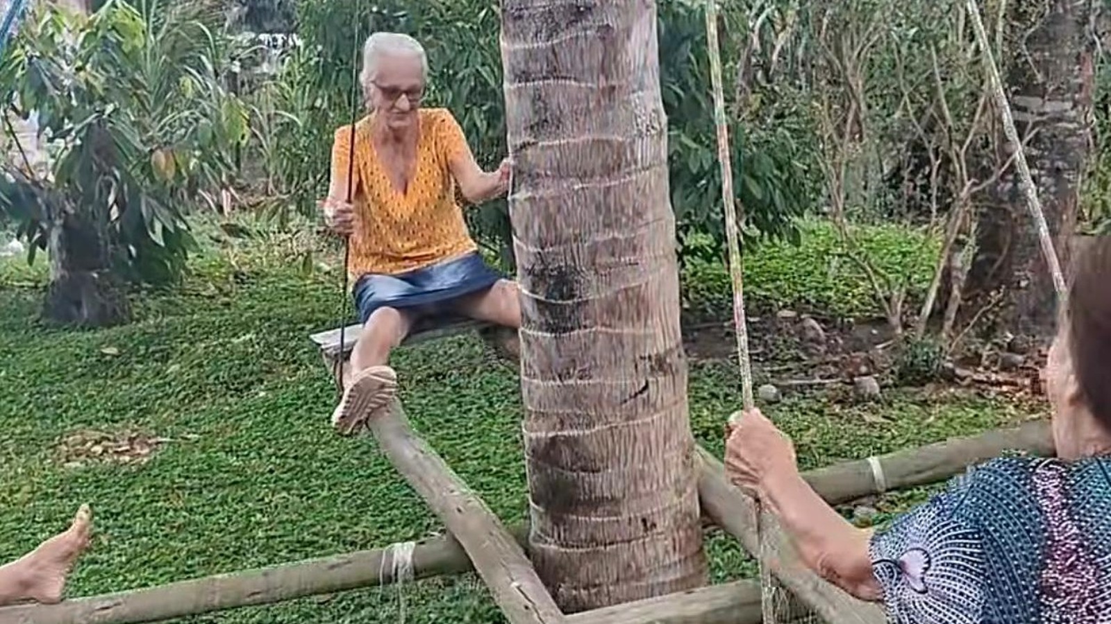 Mulher idosa sentada em balanço de madeira, segurando tronco de árvore, em um quintal