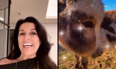 Tela dividida com mulher sorridente à esquerda e um burro em miniatura com brilhos à direita