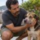 Inchaço rápido no focinho é o sinal mais comum de picada de cobra em cães, presente em 88,7% dos casos de um estudo gaúcho