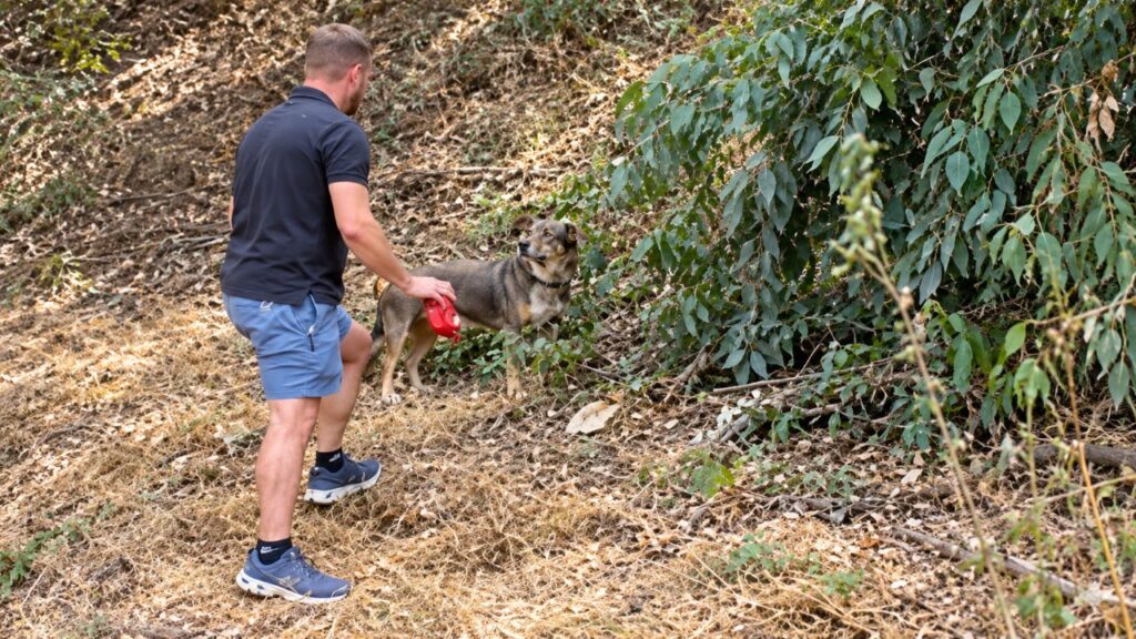 Motorista avista cachorro sozinho em aterro e fica surpreso ao descobrir por que ele não consegue sair do lugar