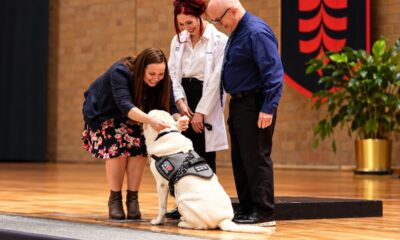 Cão de serviço da raça Labrador, de pelagem clara e usando colete de identificação, sentado no palco de uma cerimônia acadêmica enquanto recebe carinho de uma mulher, acompanhado por uma estudante de jaleco branco e um homem de camisa azul. - Imagem ilustrativa criada por inteligência artificial