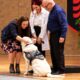Cão de serviço da raça Labrador, de pelagem clara e usando colete de identificação, sentado no palco de uma cerimônia acadêmica enquanto recebe carinho de uma mulher, acompanhado por uma estudante de jaleco branco e um homem de camisa azul. - Imagem ilustrativa criada por inteligência artificial
