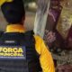Agente de costas em uniforme amarelo e colete tático preto com "FORÇA MUNICIPAL" e "COMANFY"