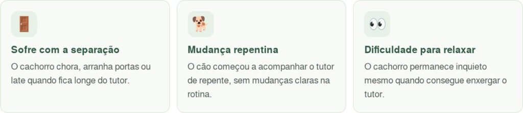 Veterinário explica: o cachorro que acompanha o tutor até o banheiro pode não estar apenas querendo companhia, mas seguindo um hábito ligado à proximidade e à rotina